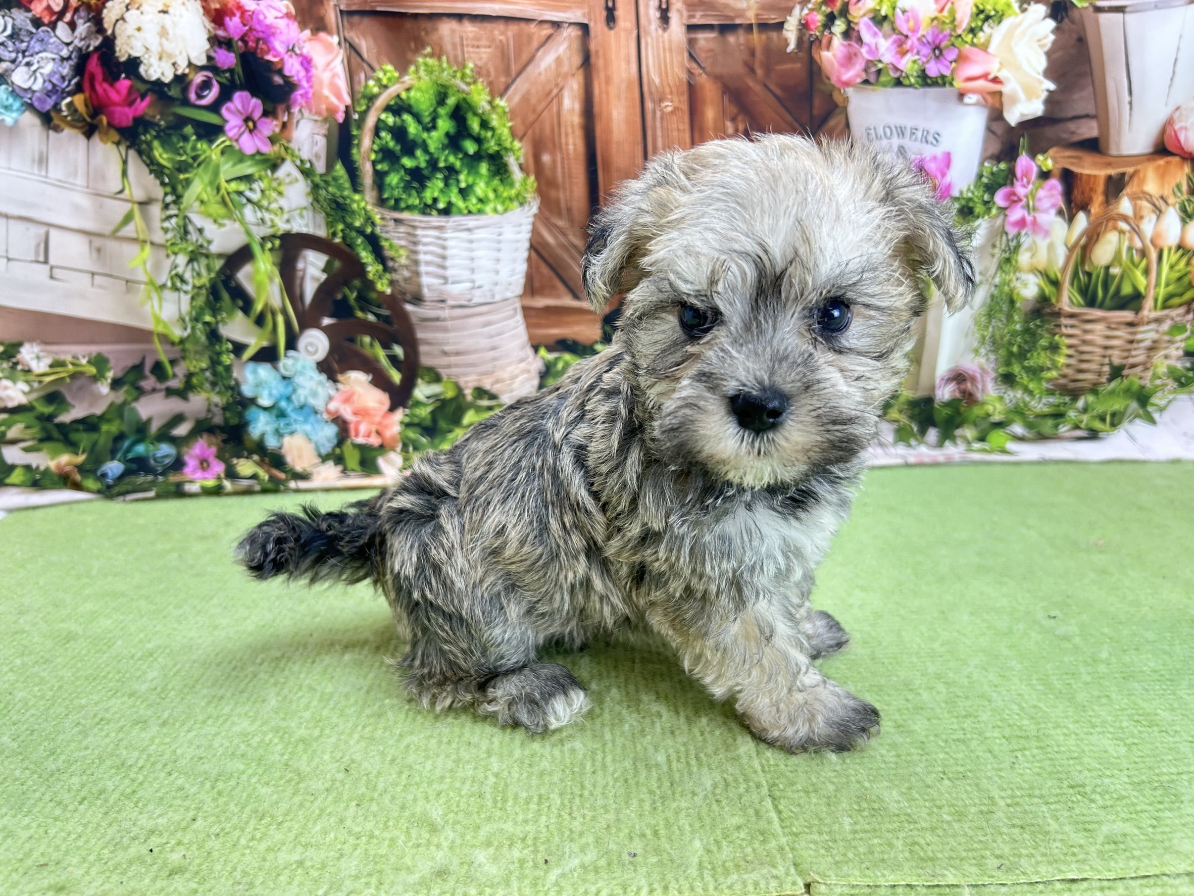 赤ちゃん写真2-2
