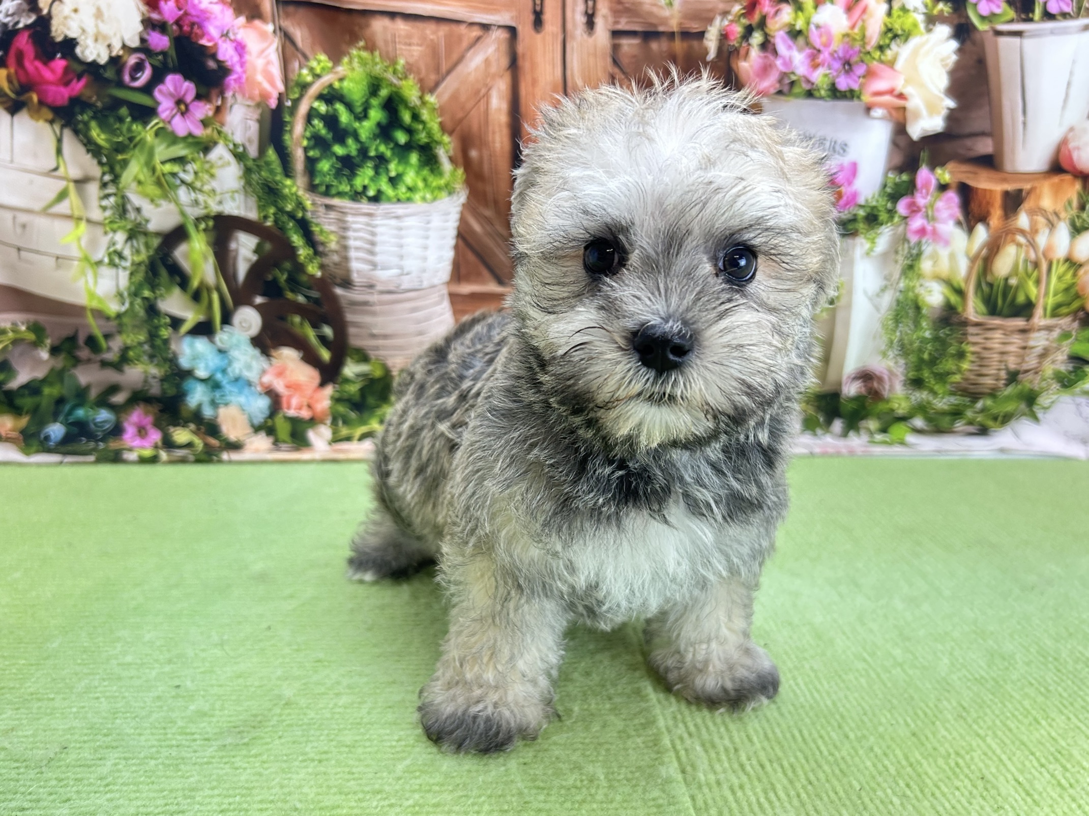 赤ちゃん写真3-1