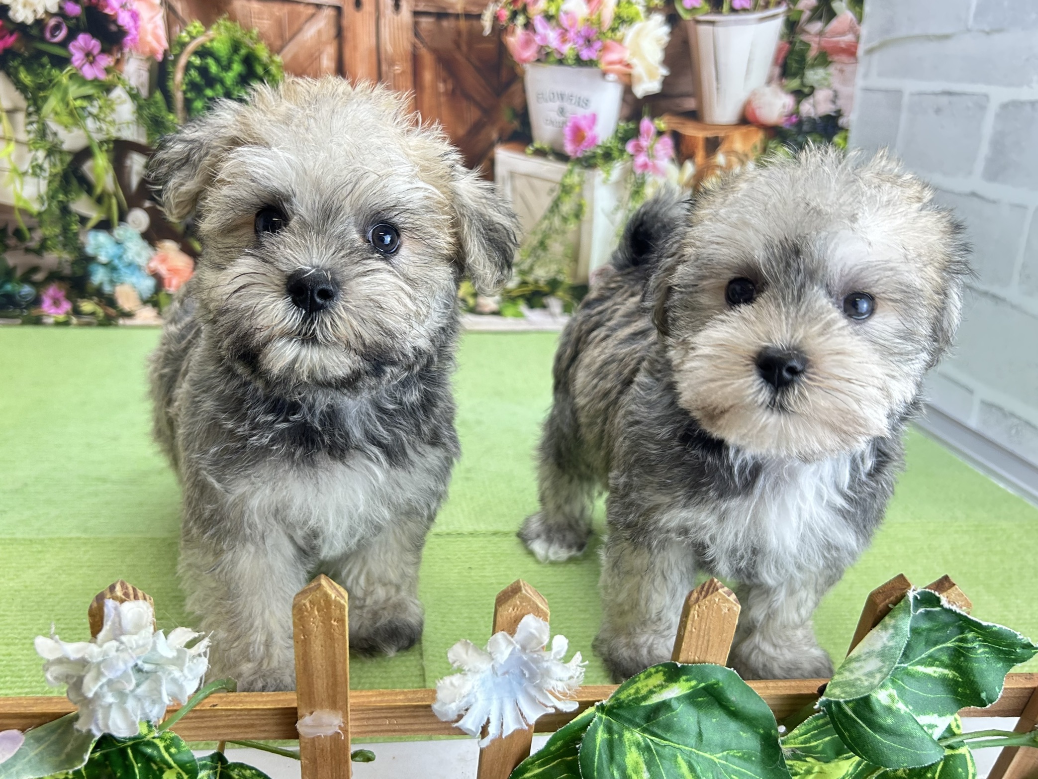 赤ちゃん写真3-3
