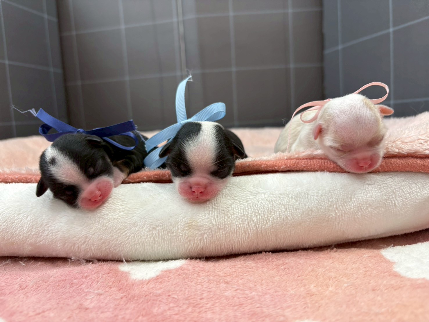 赤ちゃん写真1-3