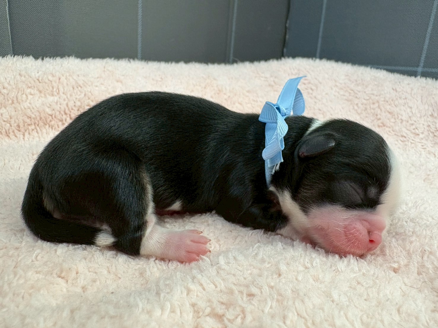赤ちゃん写真1-2
