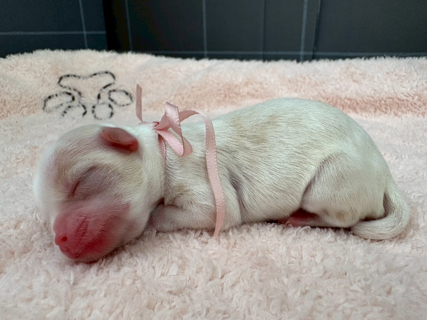 赤ちゃん写真1-2