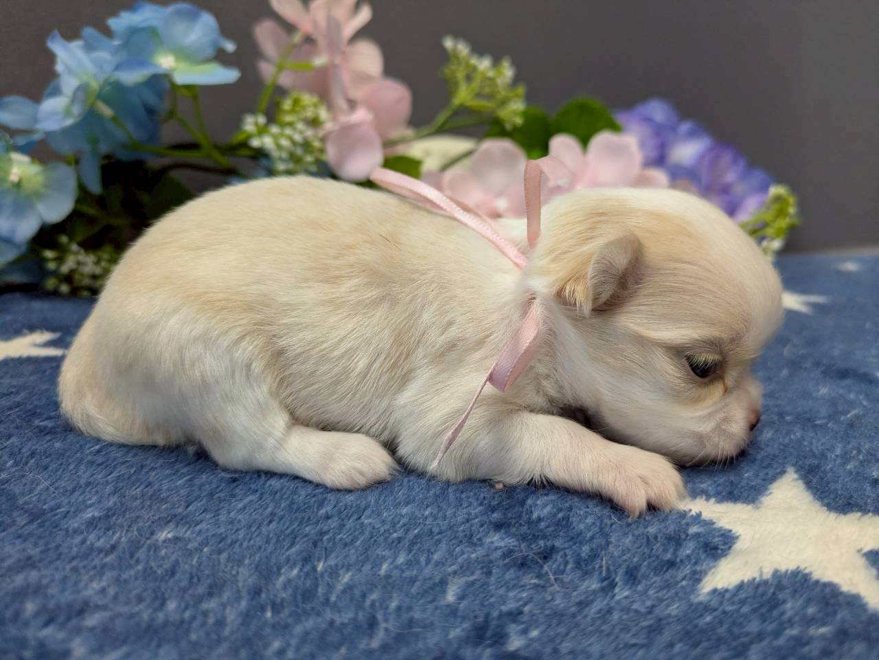 赤ちゃん写真2-2