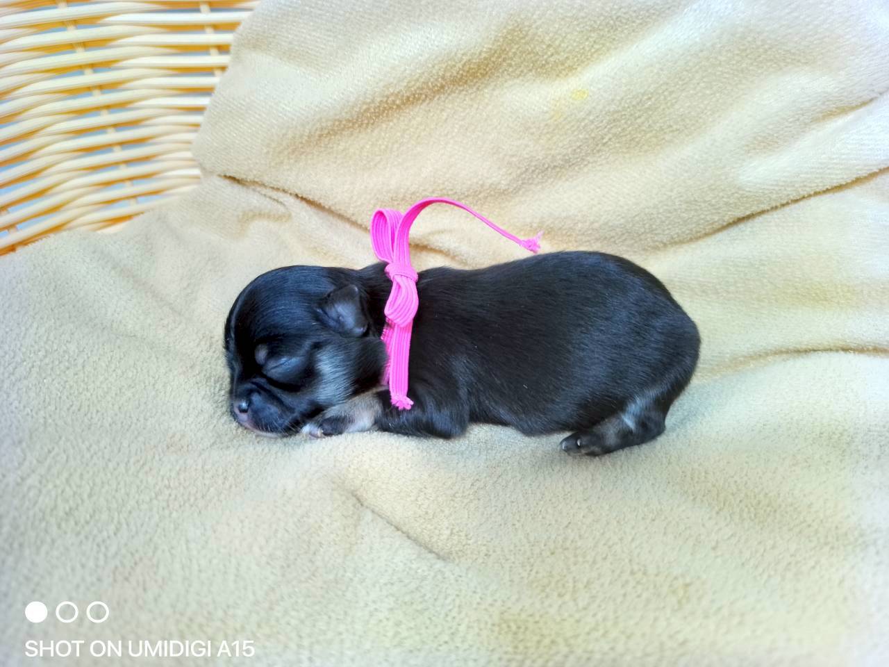 赤ちゃん写真1-2