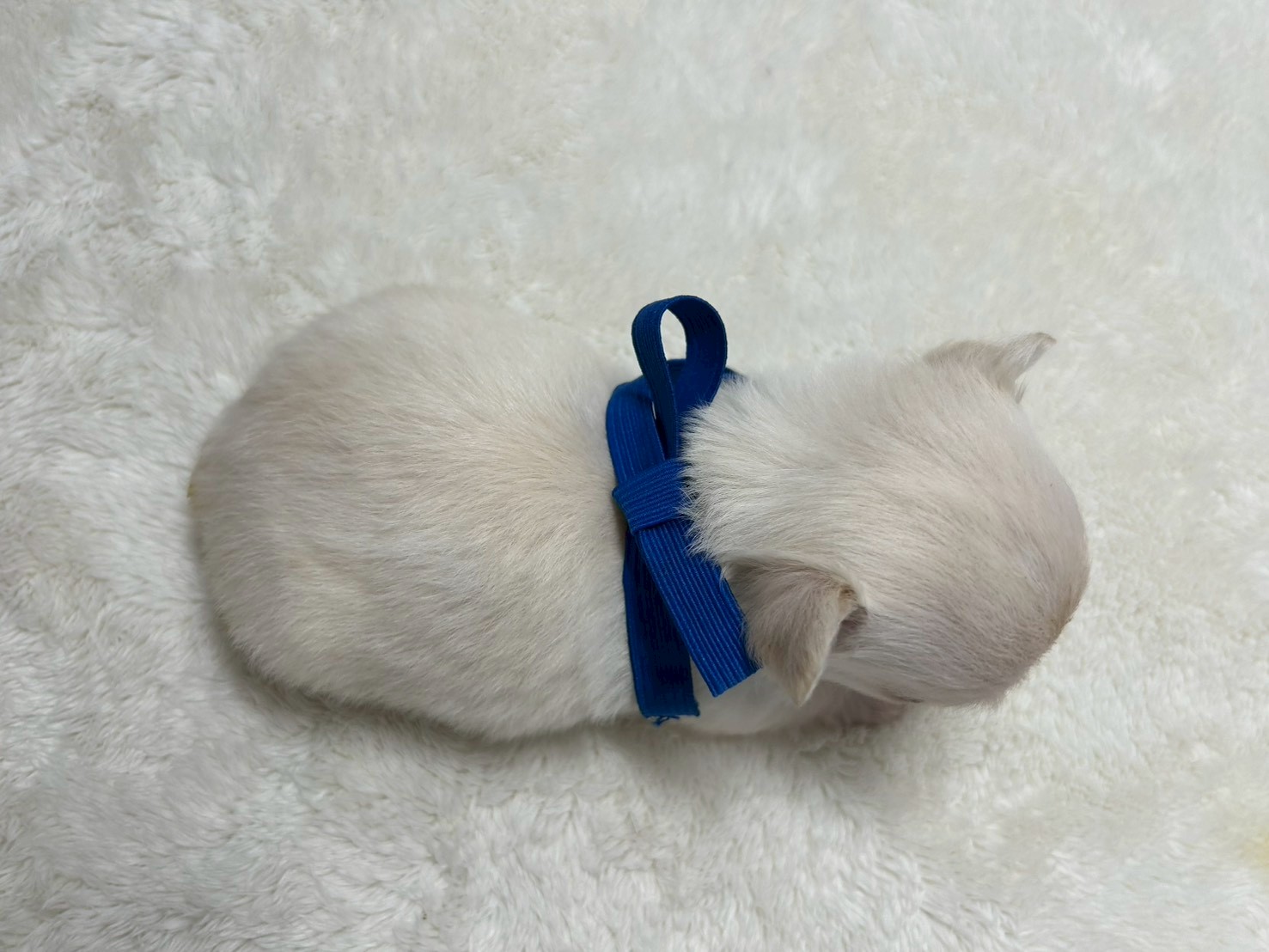 赤ちゃん写真2-3