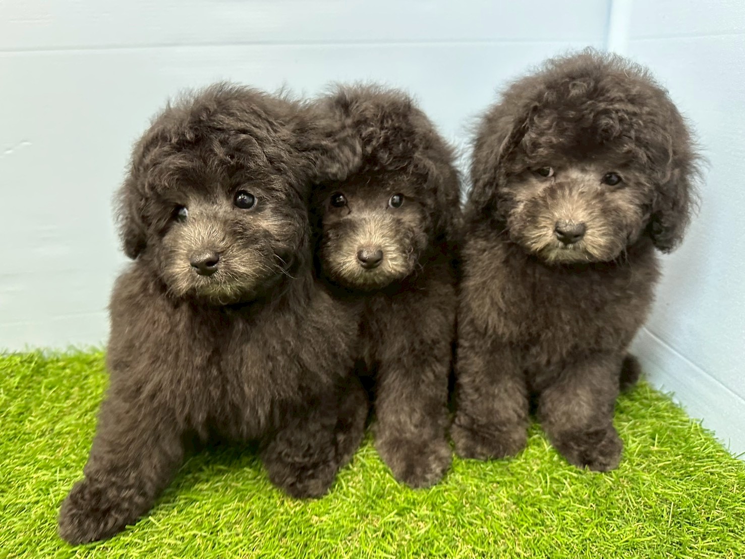 赤ちゃん写真3-3