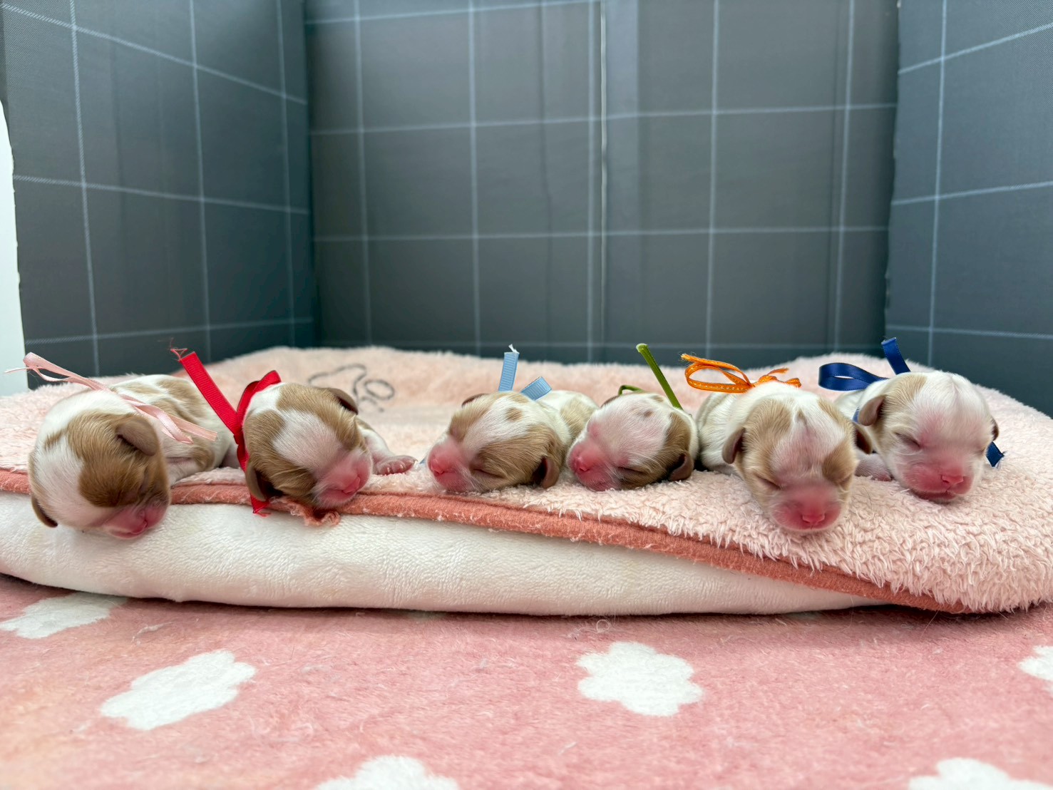 赤ちゃん写真1-3