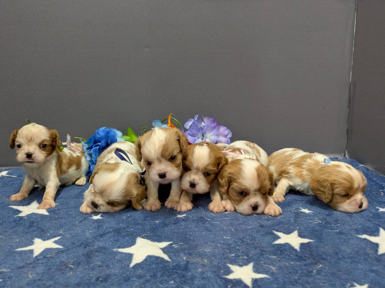 赤ちゃん写真2-3