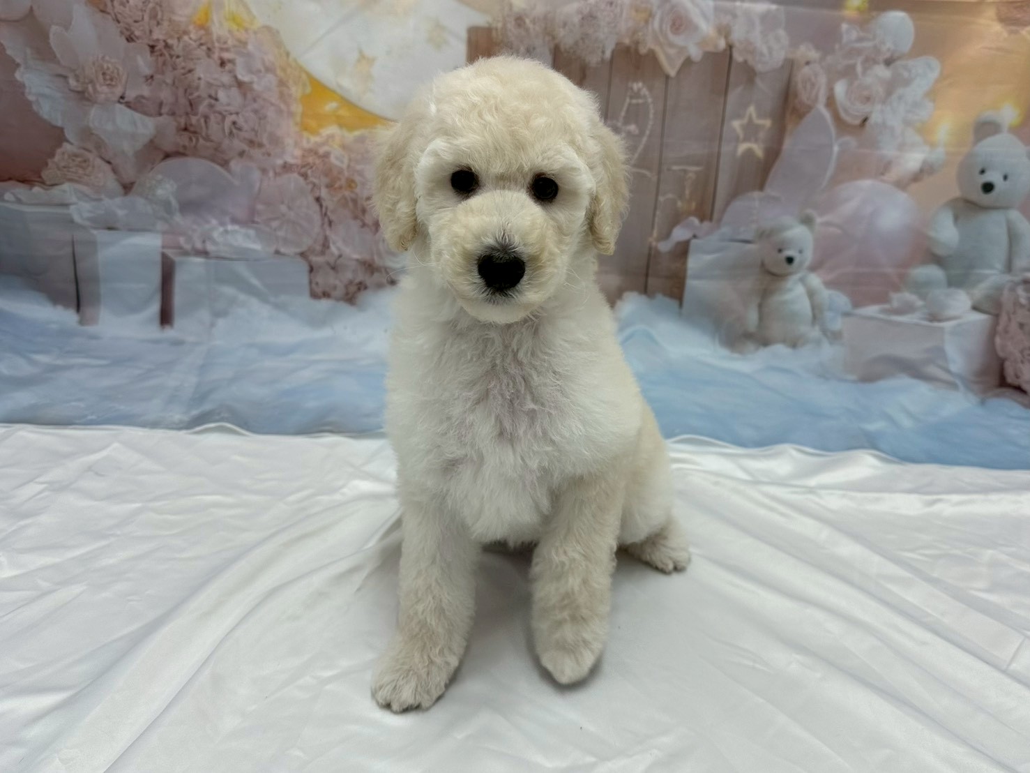 赤ちゃん写真3-1
