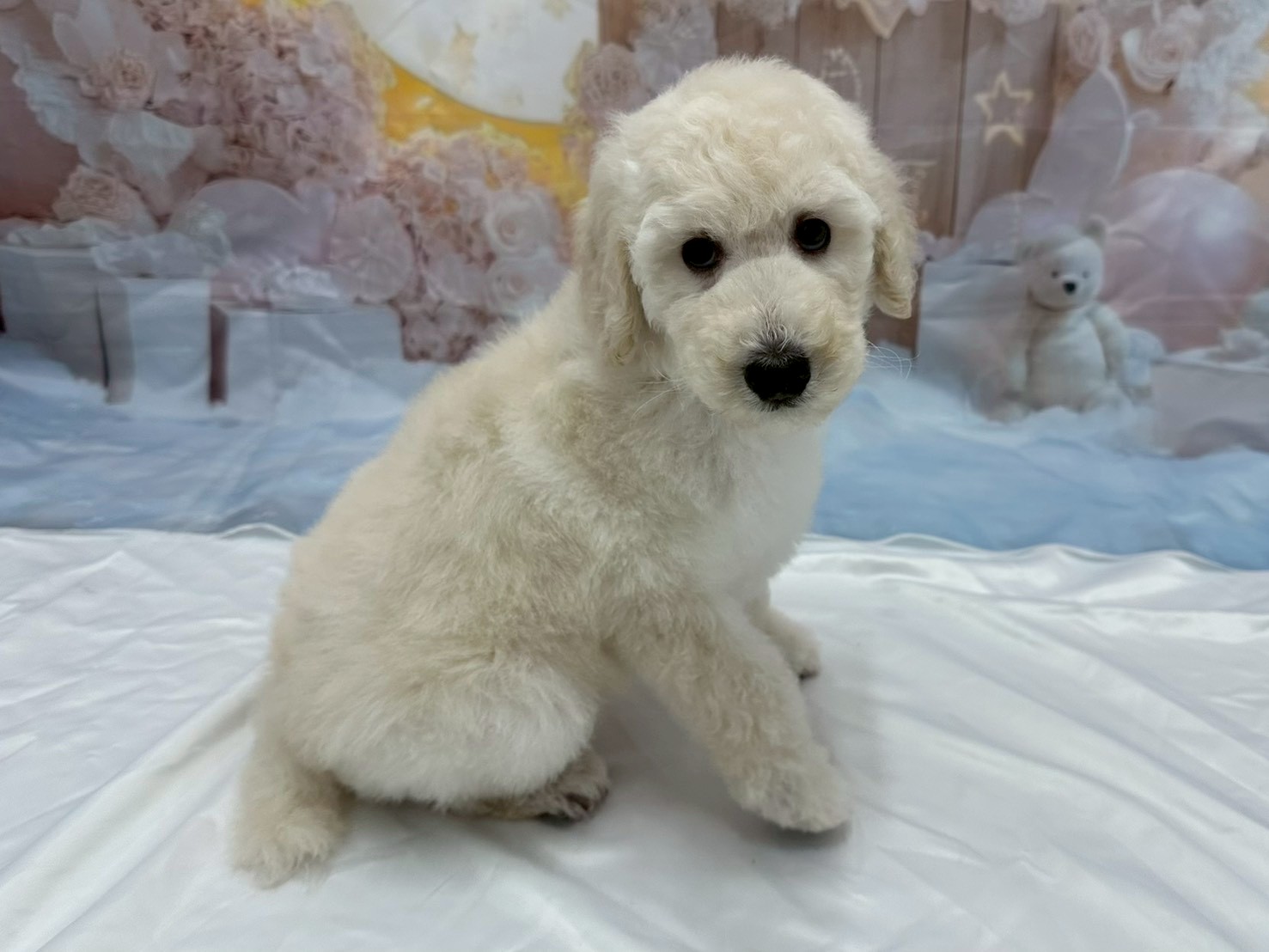赤ちゃん写真3-2