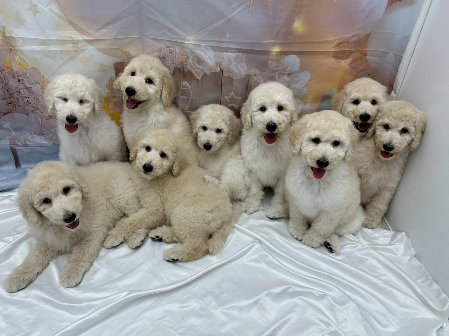 赤ちゃん写真3-3