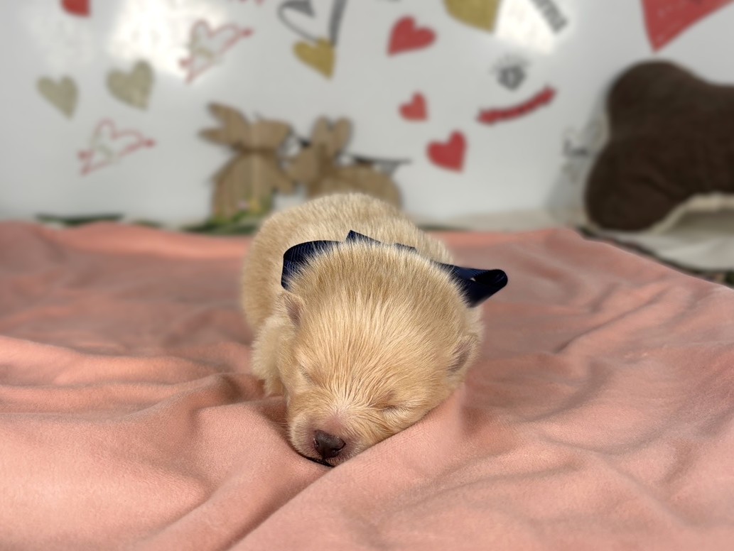 赤ちゃん写真1-1