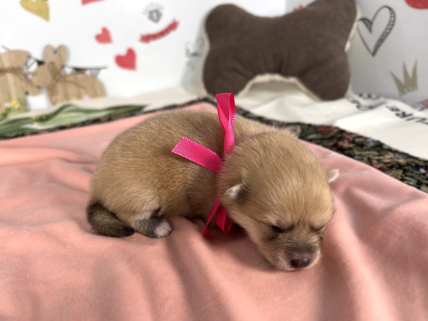 赤ちゃん写真1-2