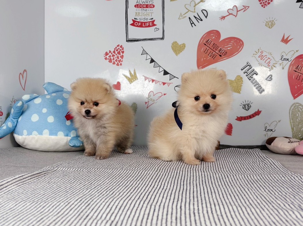 赤ちゃん写真2-3