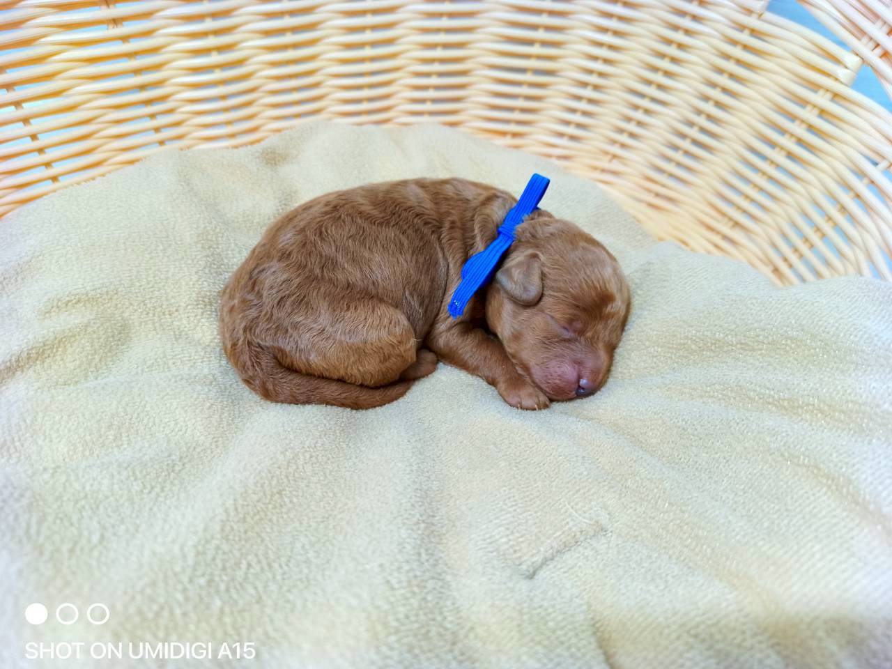 赤ちゃん写真1-2