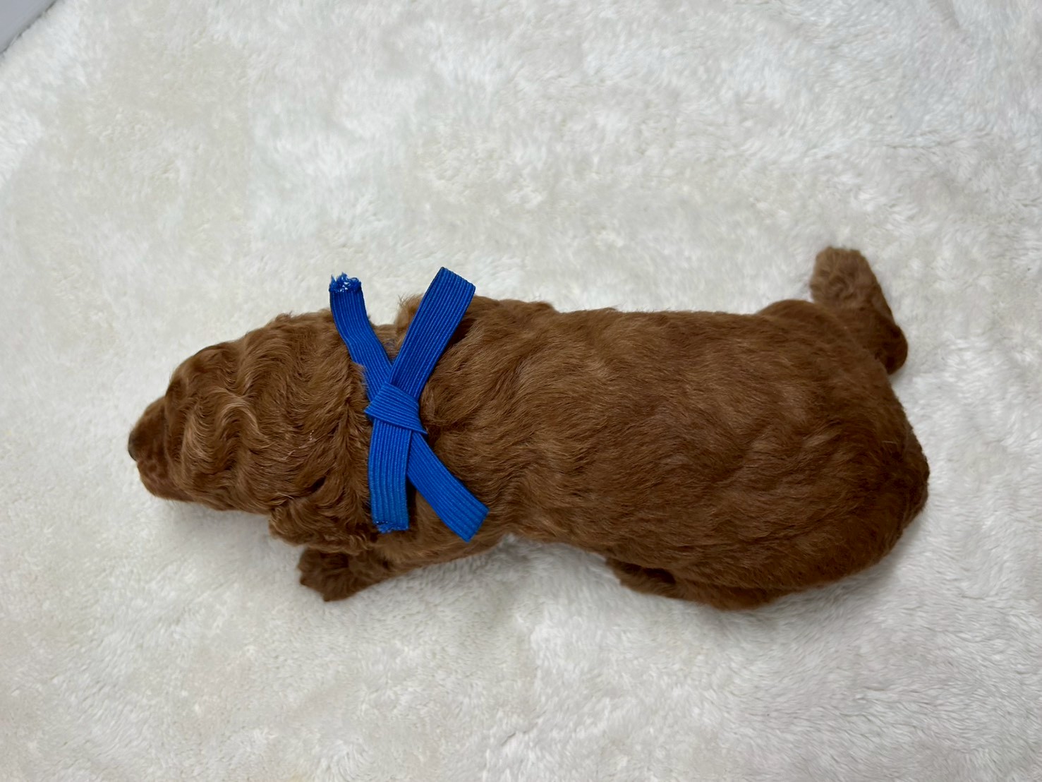 赤ちゃん写真2-3