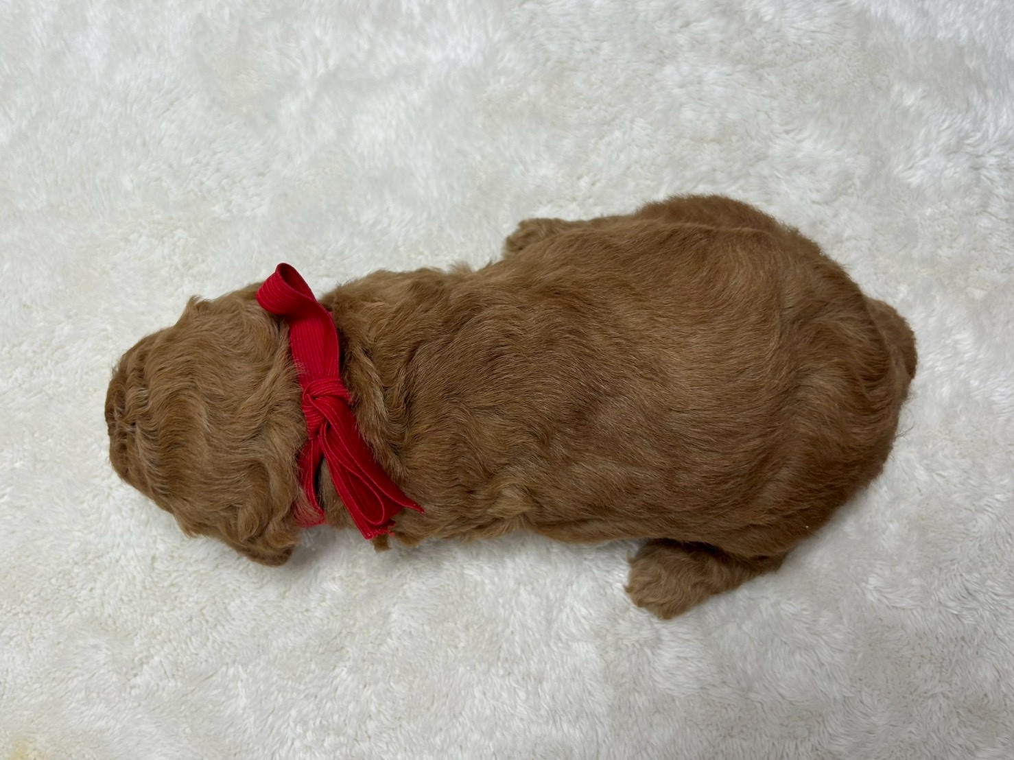 赤ちゃん写真2-3