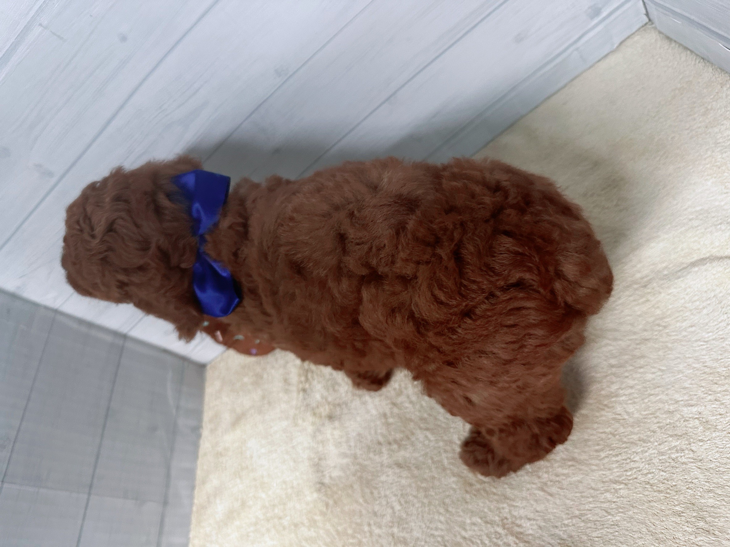 赤ちゃん写真3-3