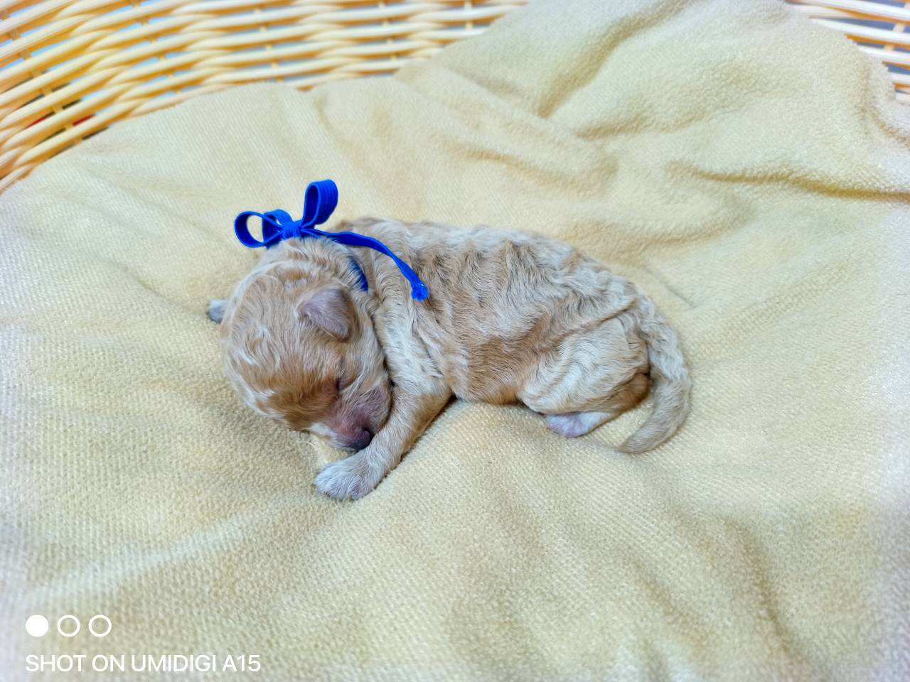 赤ちゃん写真1-2