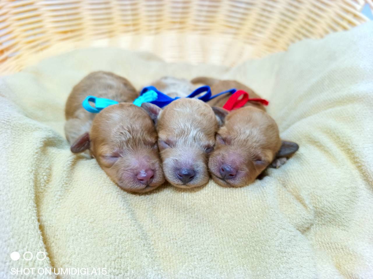 赤ちゃん写真1-3