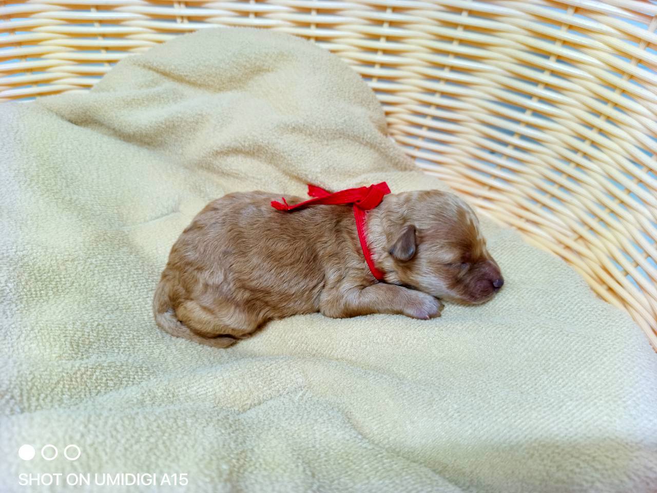 赤ちゃん写真1-2