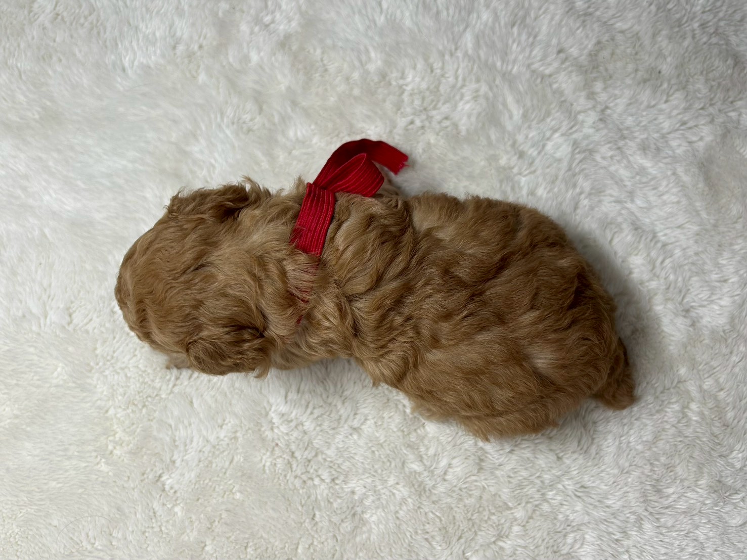 赤ちゃん写真2-3