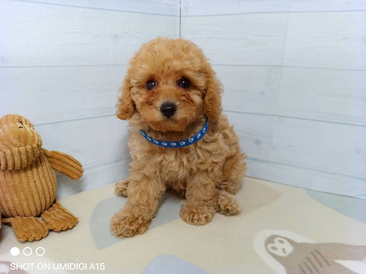 赤ちゃん写真3-1