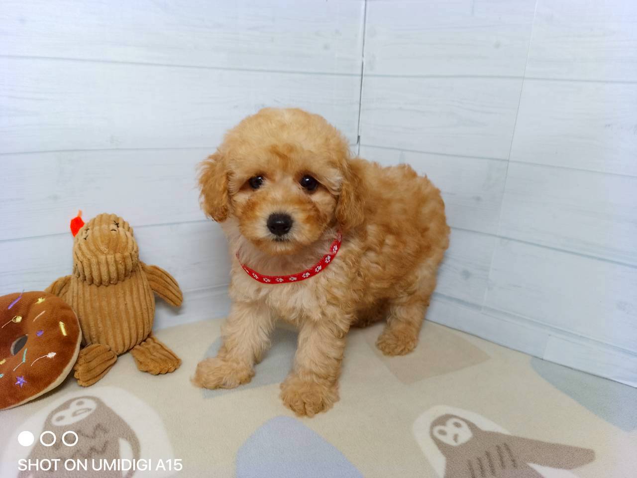 赤ちゃん写真3-1