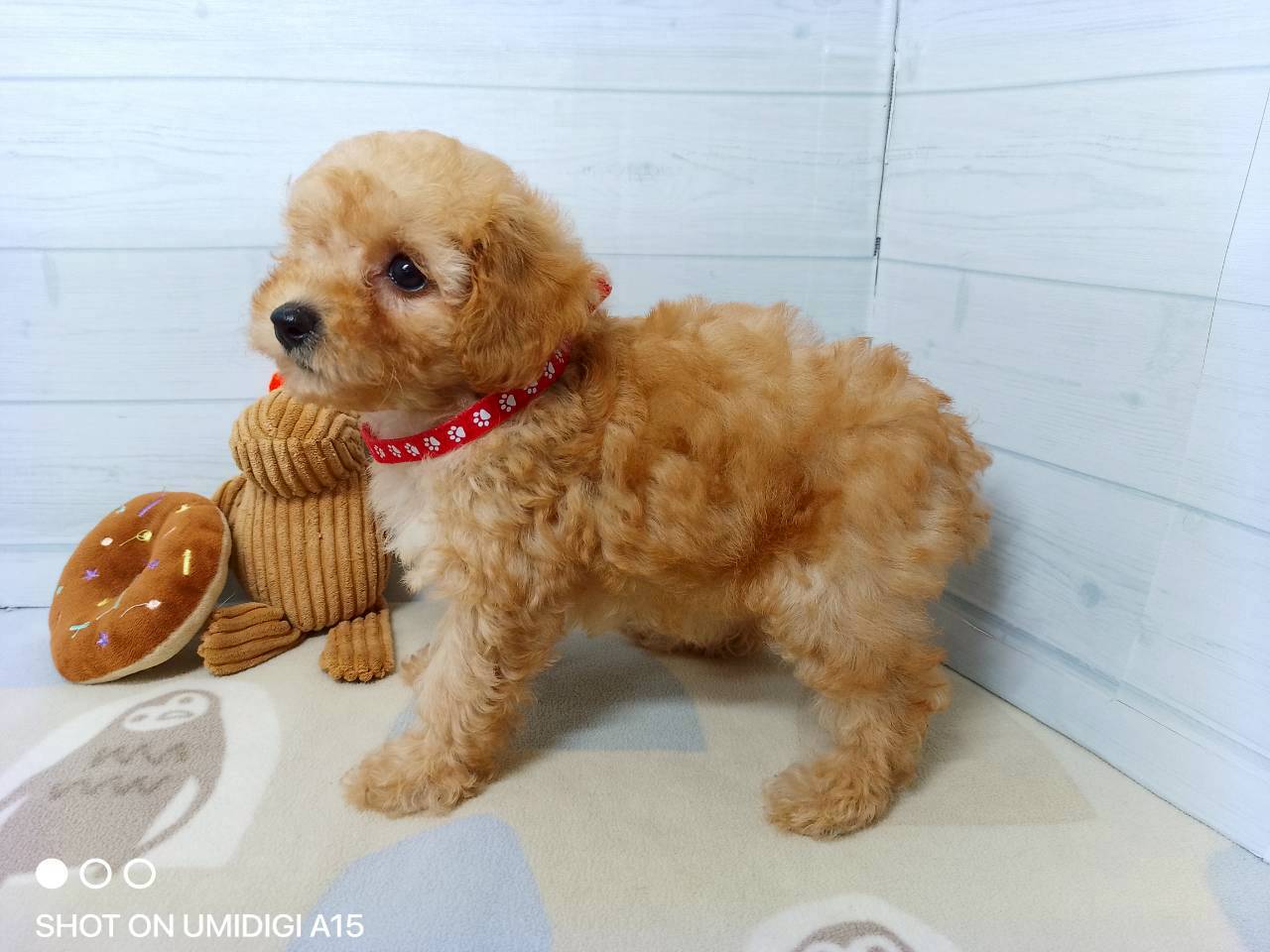 赤ちゃん写真3-2