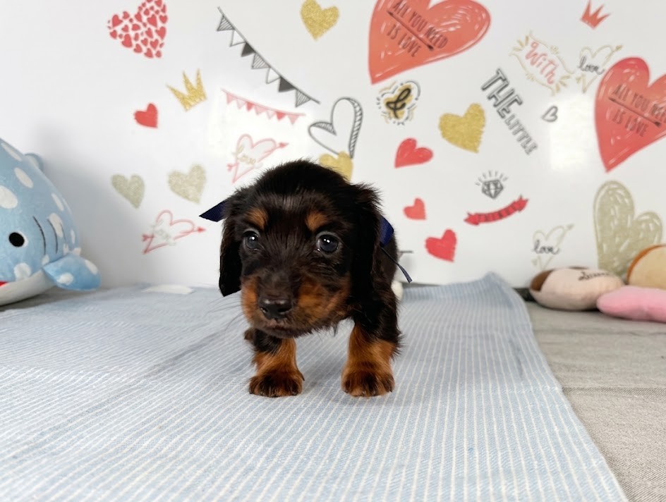赤ちゃん写真2-1