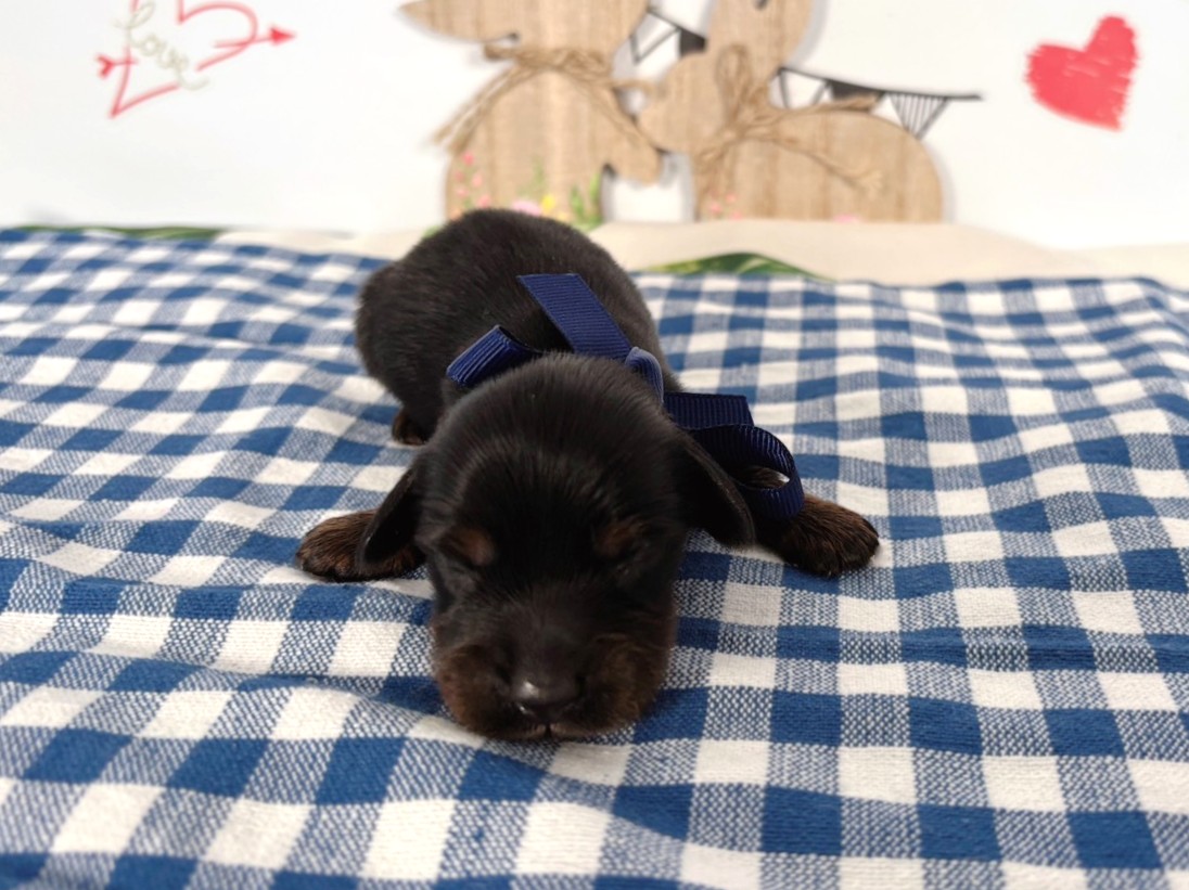 赤ちゃん写真1-1