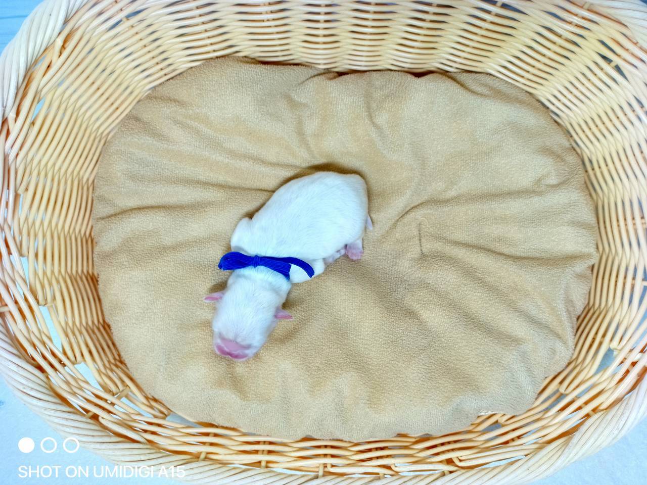 赤ちゃん写真1-3