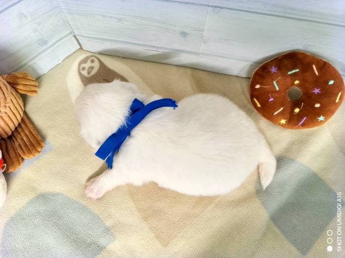 赤ちゃん写真2-3