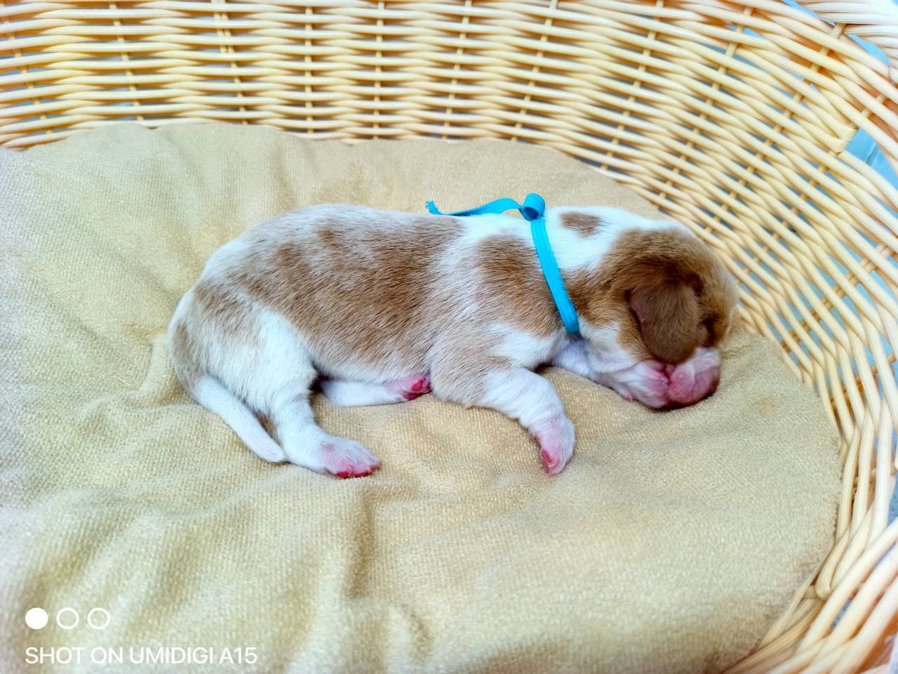 赤ちゃん写真1-2