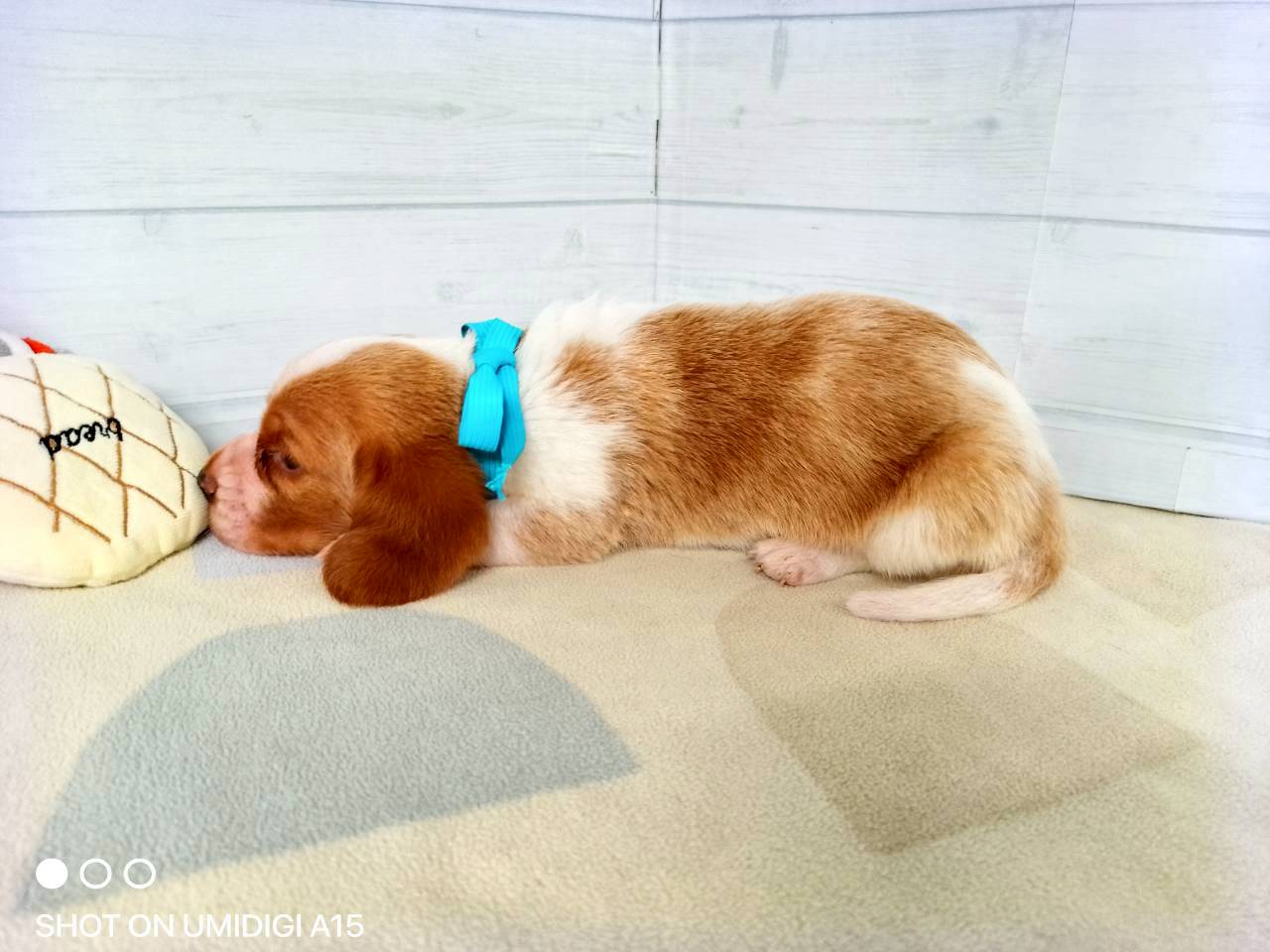 赤ちゃん写真2-2