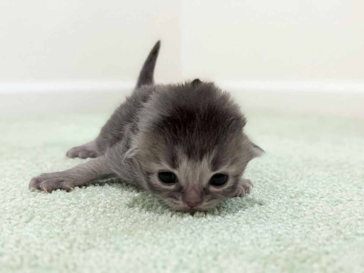 赤ちゃん写真1-1