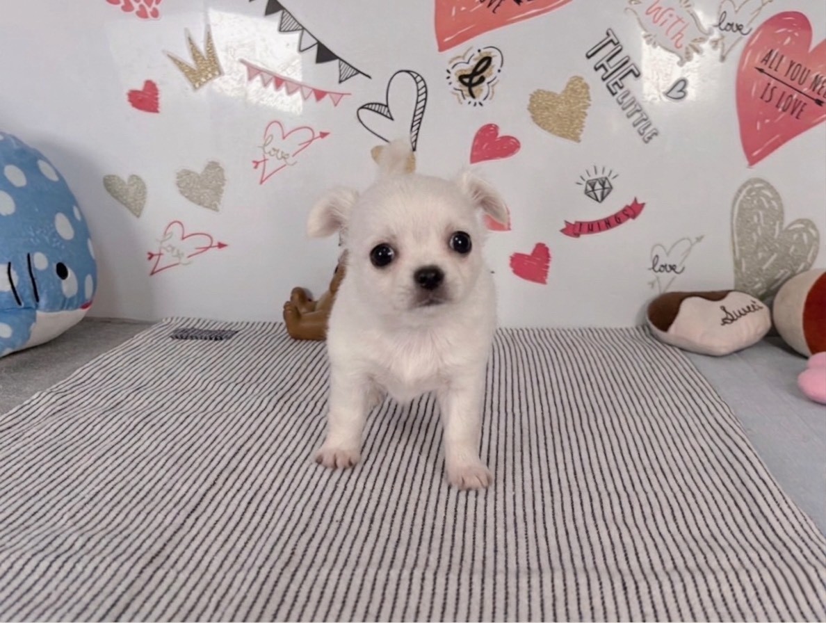 赤ちゃん写真2-1