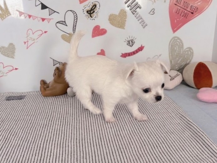 赤ちゃん写真2-2