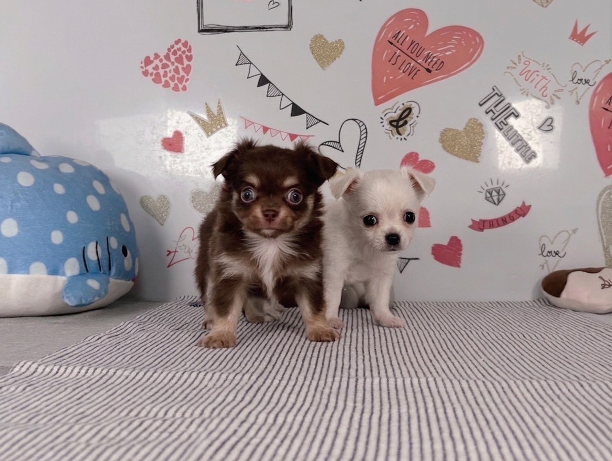 赤ちゃん写真2-3