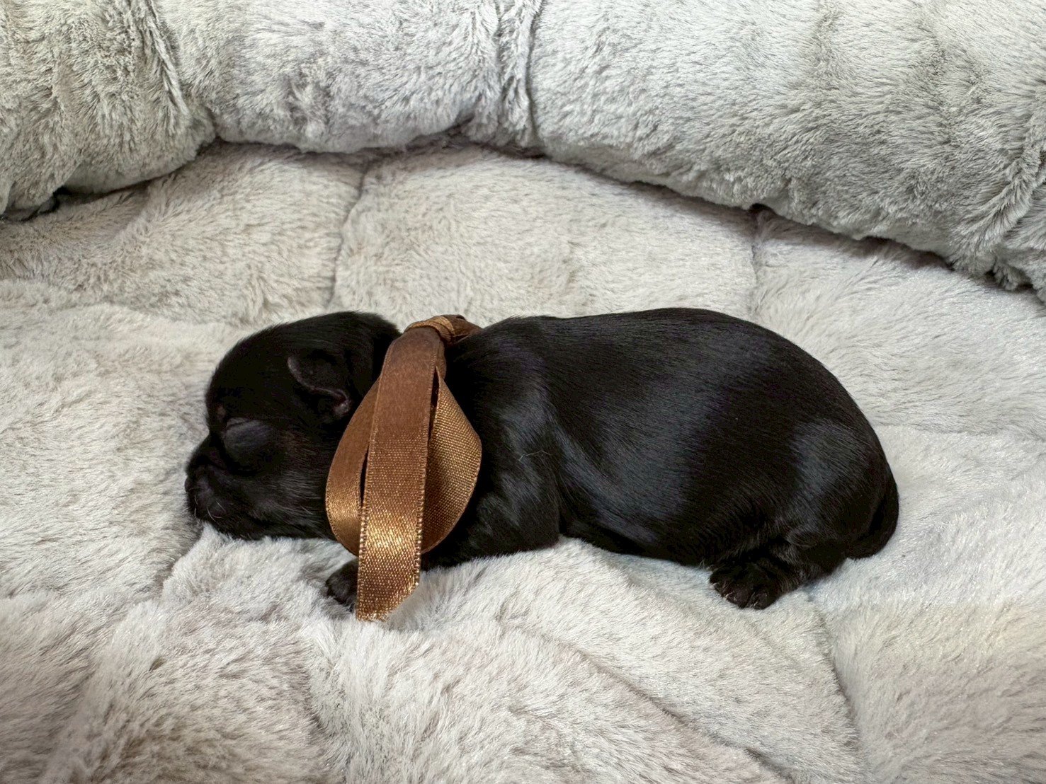 赤ちゃん写真1-2