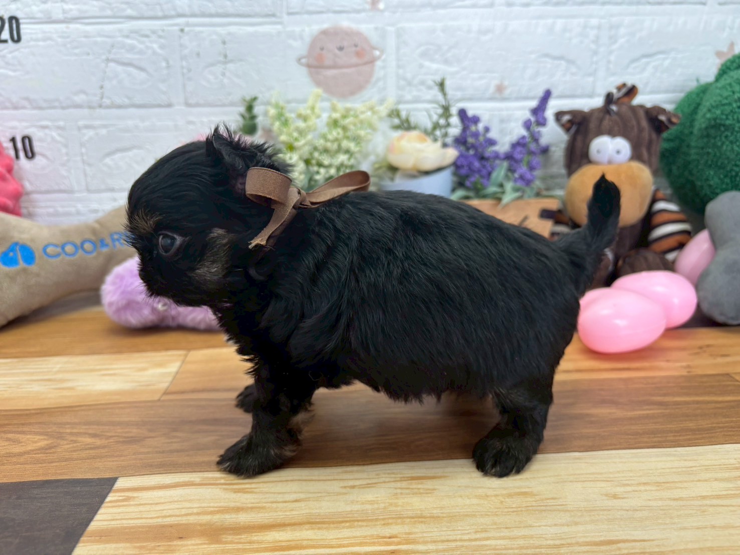 赤ちゃん写真3-2