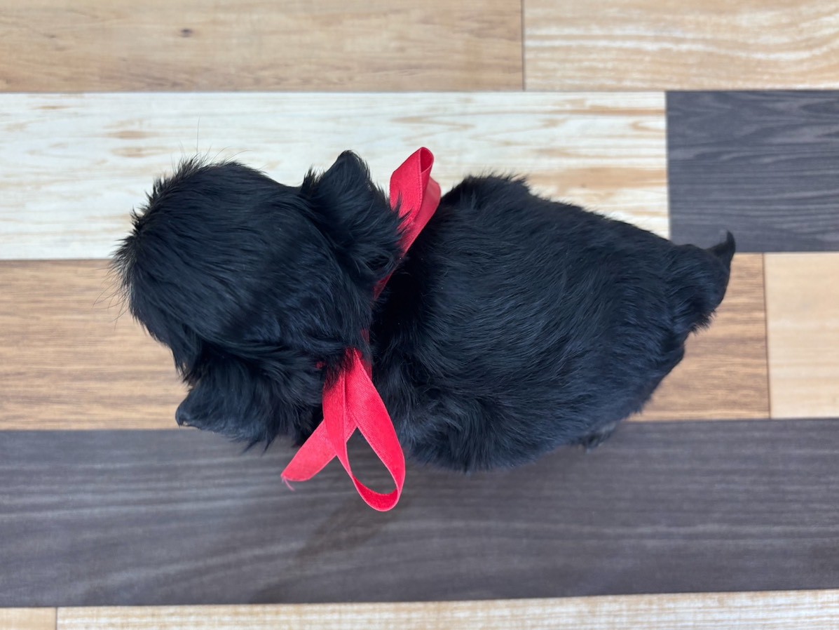 赤ちゃん写真3-3