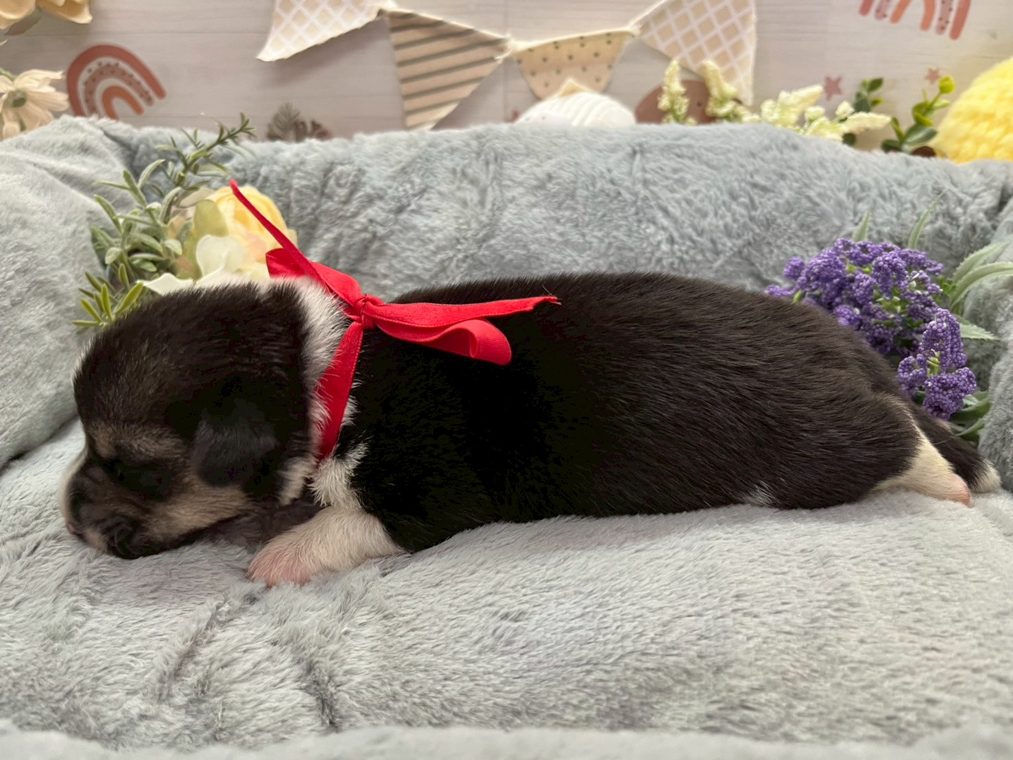 赤ちゃん写真1-2
