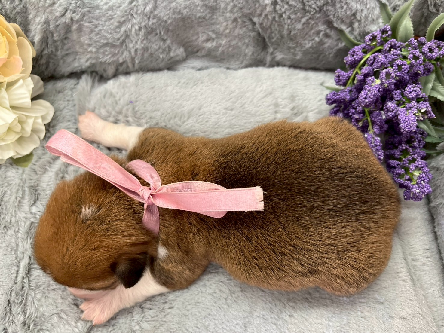 赤ちゃん写真1-3