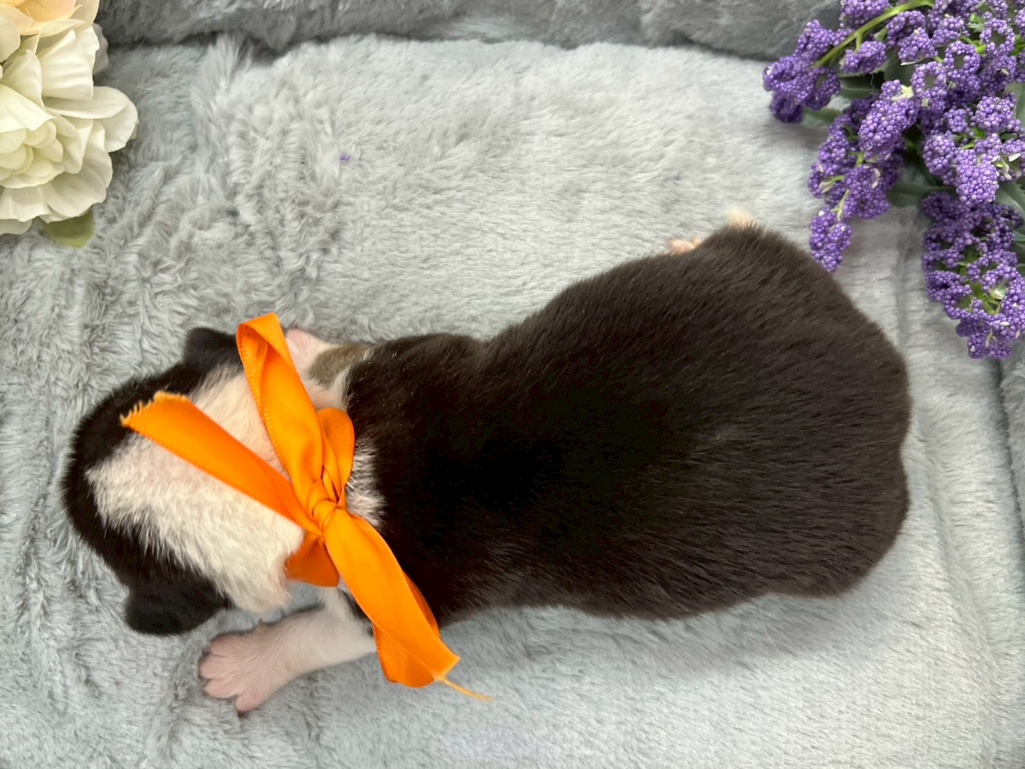 赤ちゃん写真1-3
