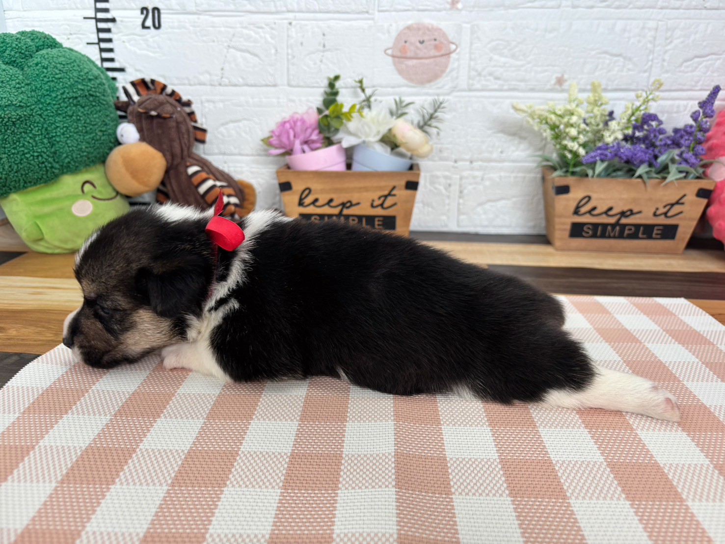 赤ちゃん写真2-2
