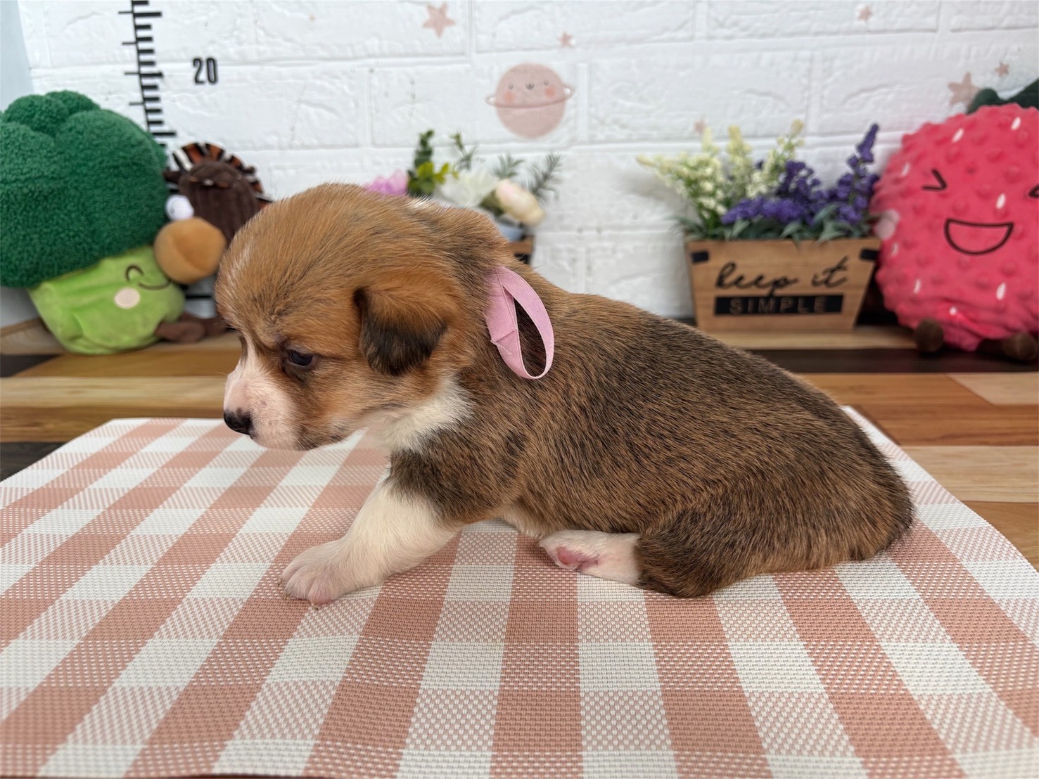 赤ちゃん写真2-2