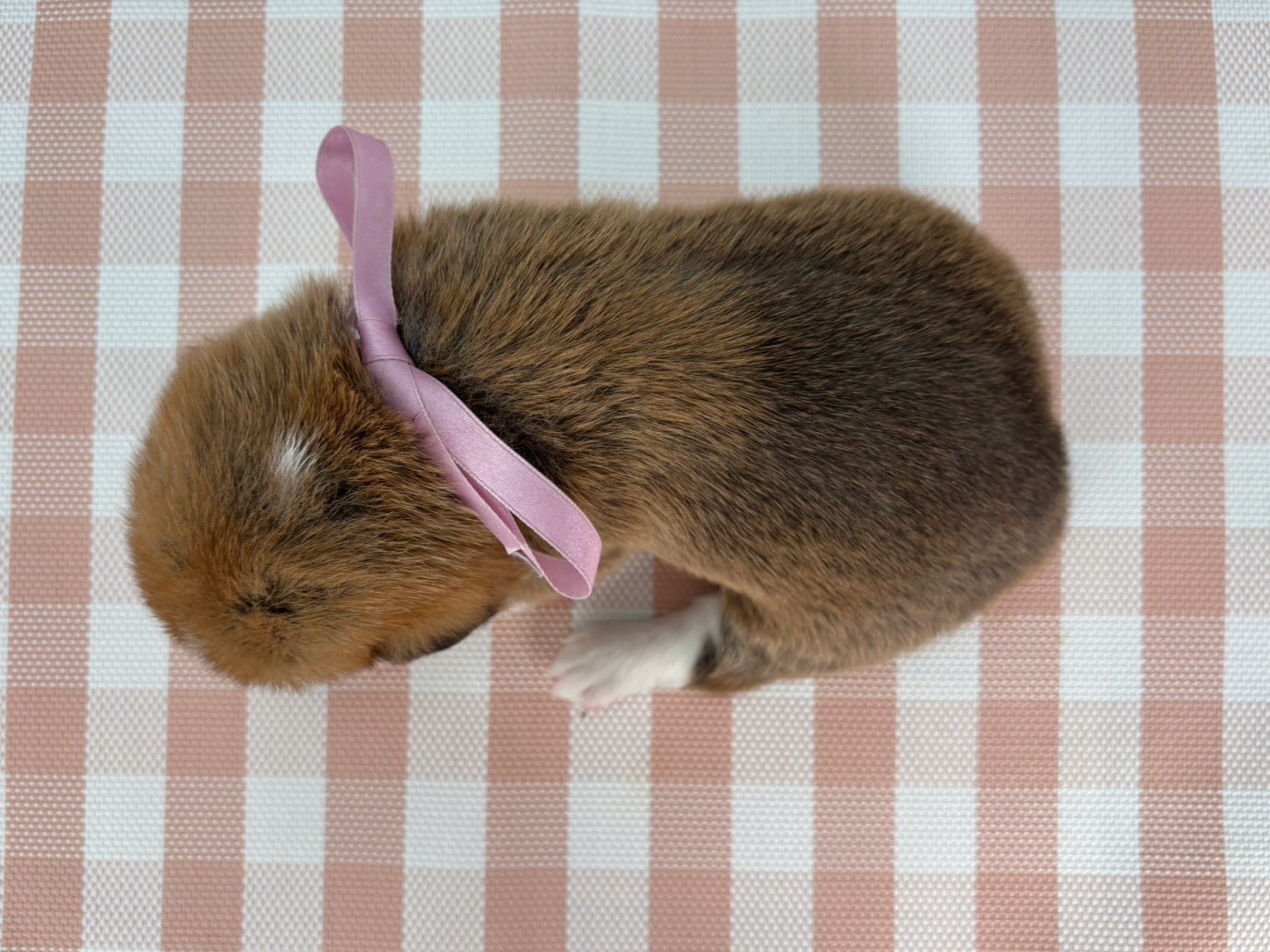 赤ちゃん写真2-3