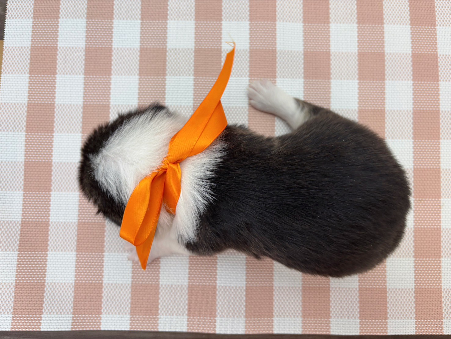 赤ちゃん写真2-3