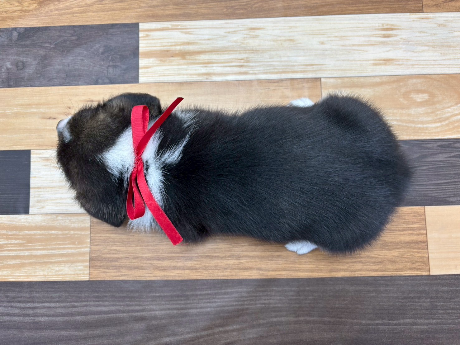 赤ちゃん写真3-3
